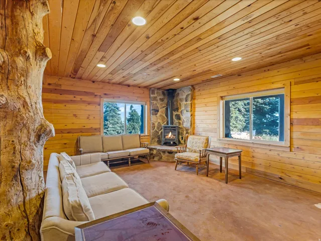 Vaulted wood-paneled ceiling with recessed lighting
