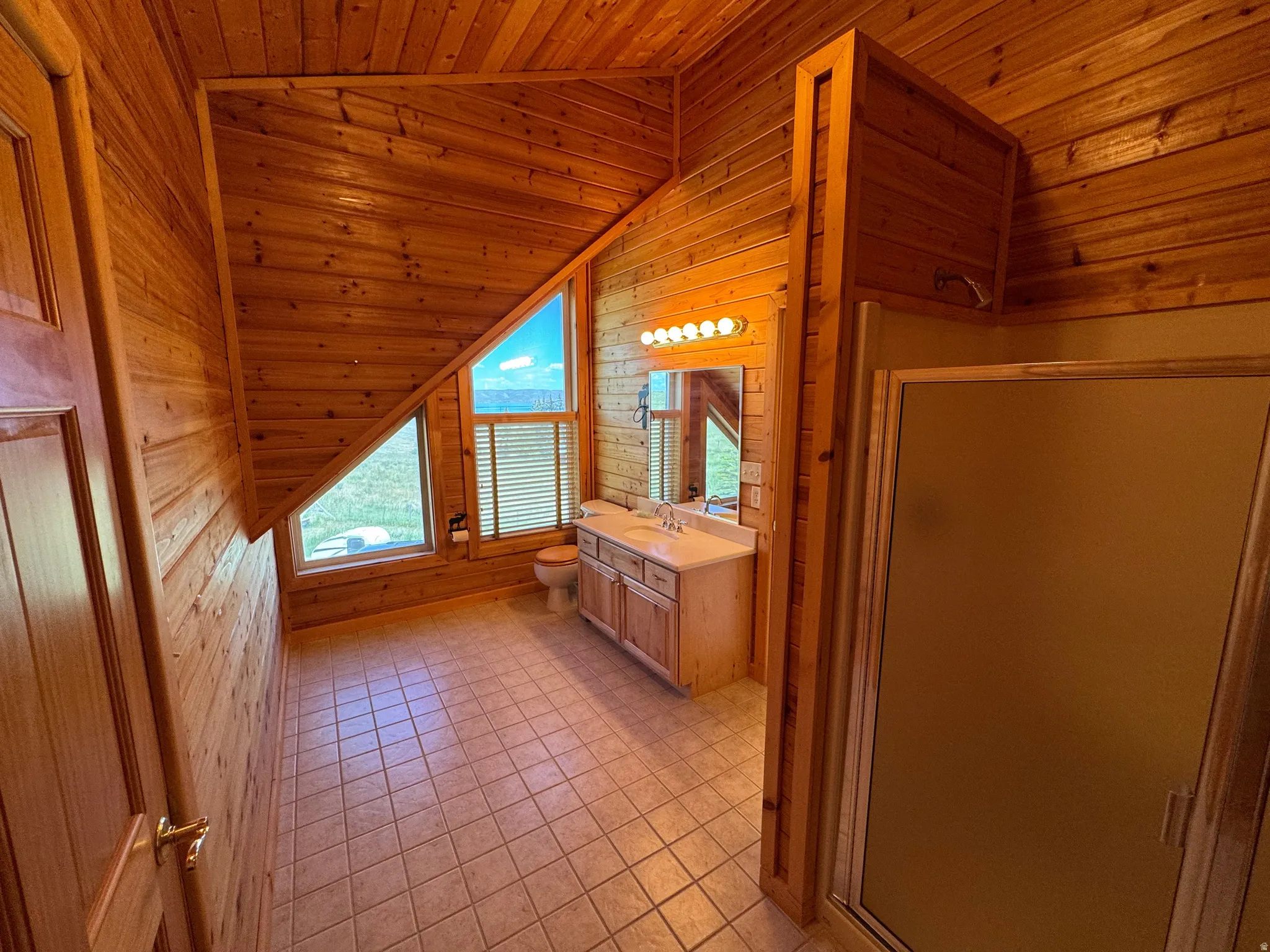 Wood-paneled interior featuring a double vanity with an overhead light bar, a toilet, and a glass-enclosed shower