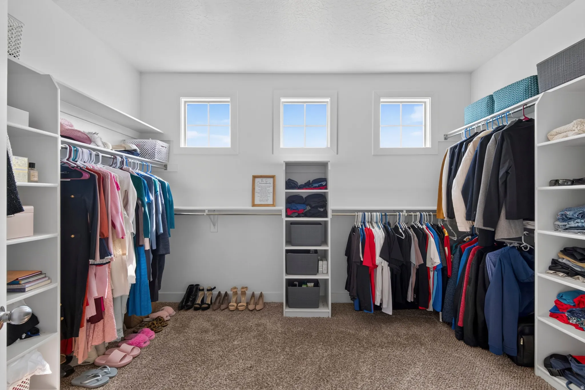 Spacious closet featuring three windows, built-in shelving, multiple hanging rods, and plush carpeting
