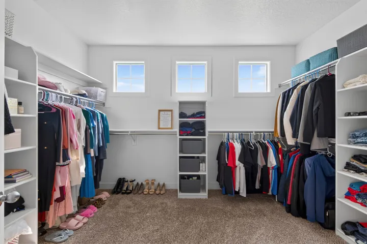Spacious closet featuring three windows, built-in shelving, multiple hanging rods, and plush carpeting