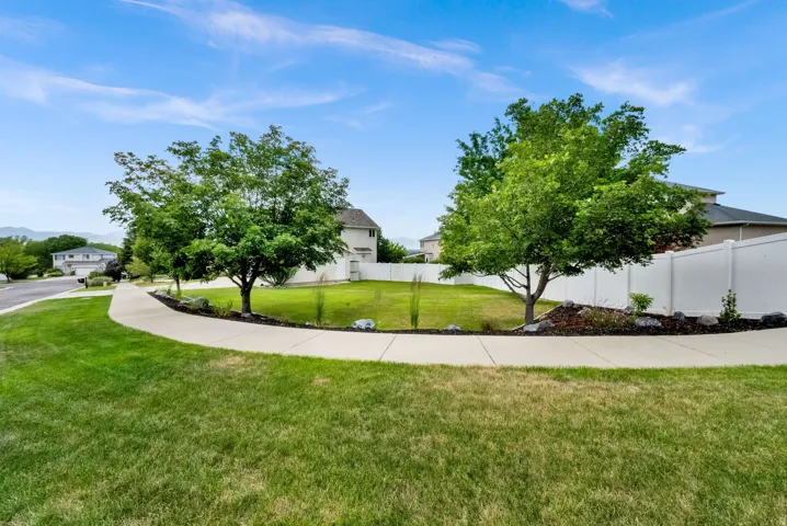 Expansive grassy area with a curving concrete walkway