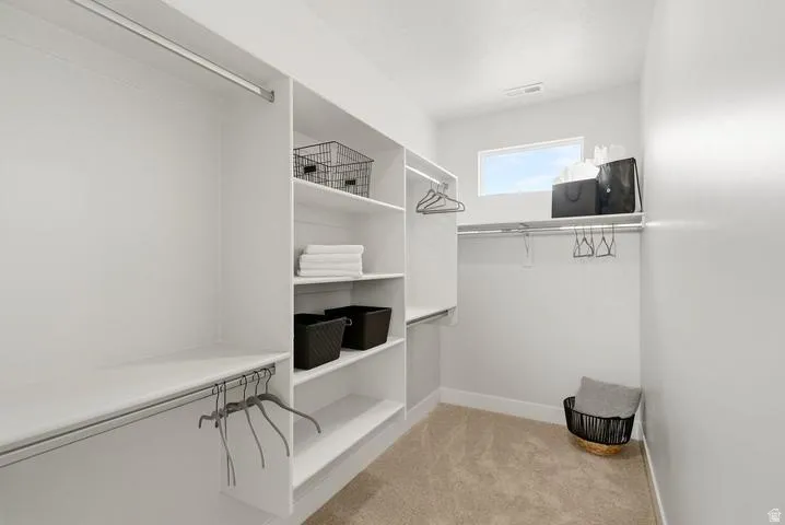 Walk-in closet featuring built-in shelving, multiple hanging rods, upper storage, a high window, and neutral carpeting