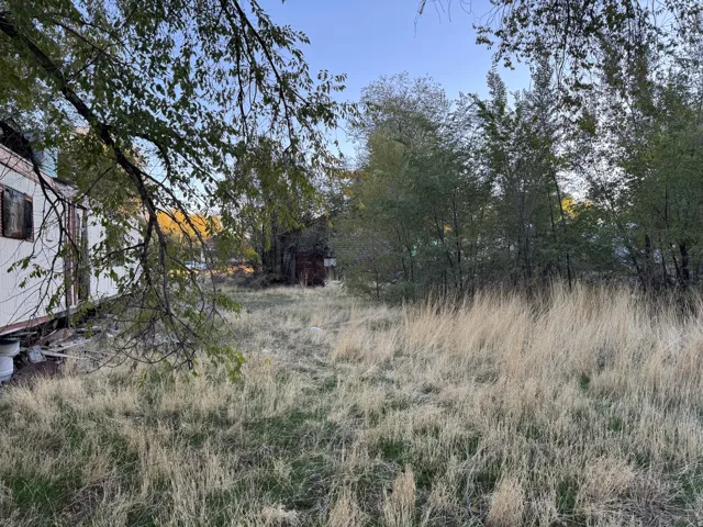Expansive open lot featuring natural grasses and mature trees