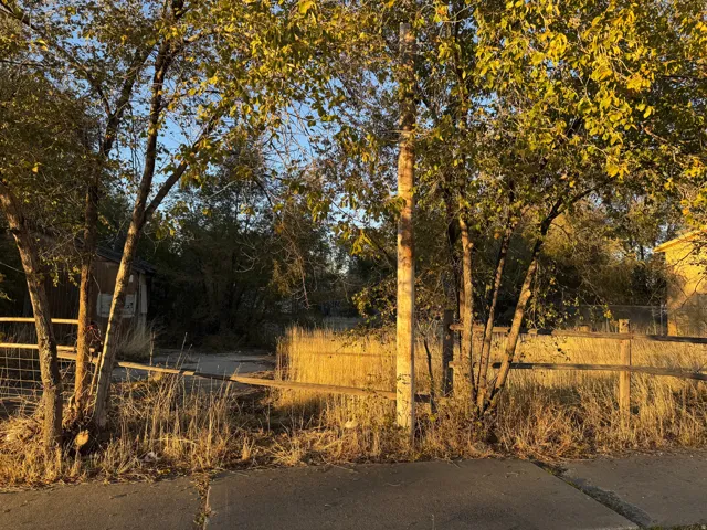 Property entrance featuring mature trees and a wooden fence