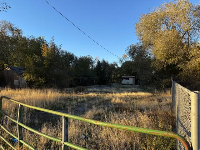 Yard