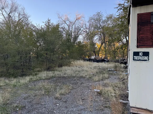 Expansive lot with natural vegetation and mature trees bordering the property