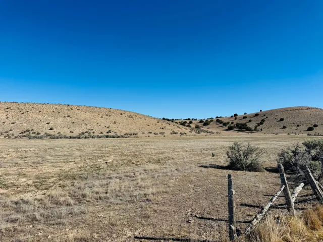 Expansive open land featuring rolling hills, varied scrub brush, and a clear blue sky