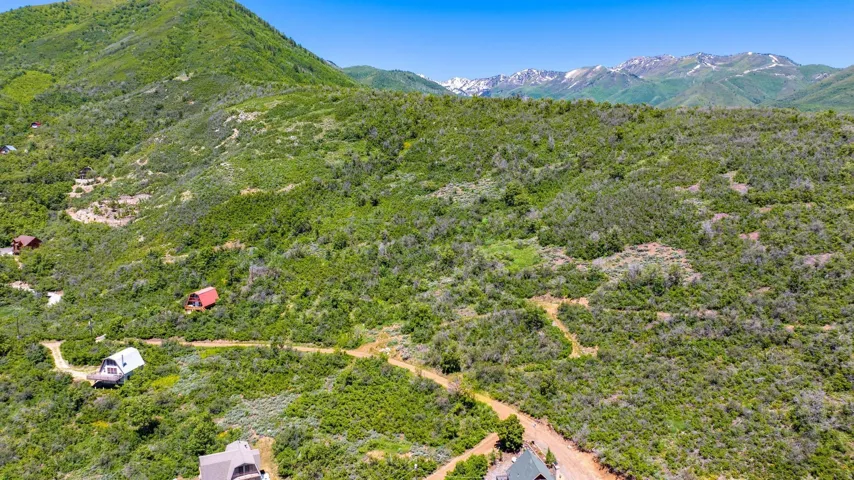 Expansive mountain landscape featuring abundant green foliage and distant snow-capped peaks