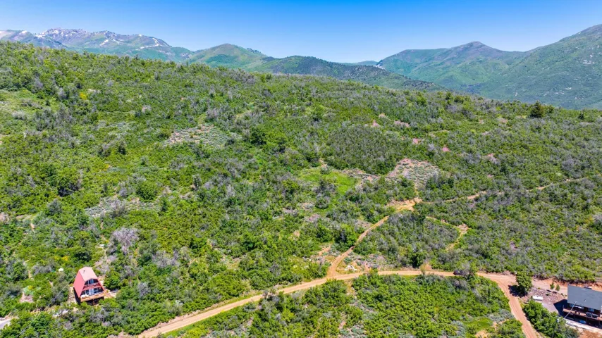 Expansive acreage featuring abundant natural foliage and a dirt pathway