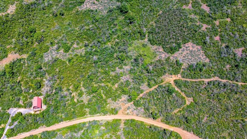 Expansive natural landscape featuring dense green foliage, a red-roofed structure, and a winding unpaved road
