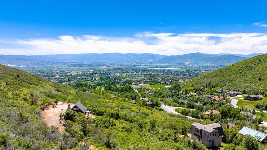 Expansive hillside setting with abundant greenery and mature trees