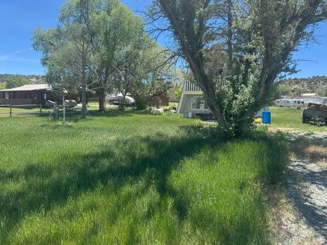 Expansive grassy area with mature trees and partial fencing