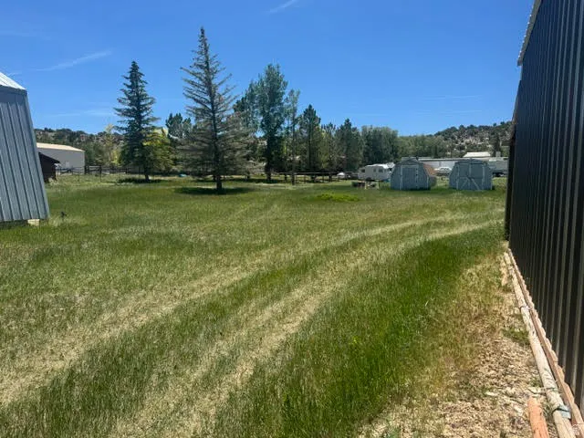 Expansive grassy lot with mature evergreen trees and distant rolling hills