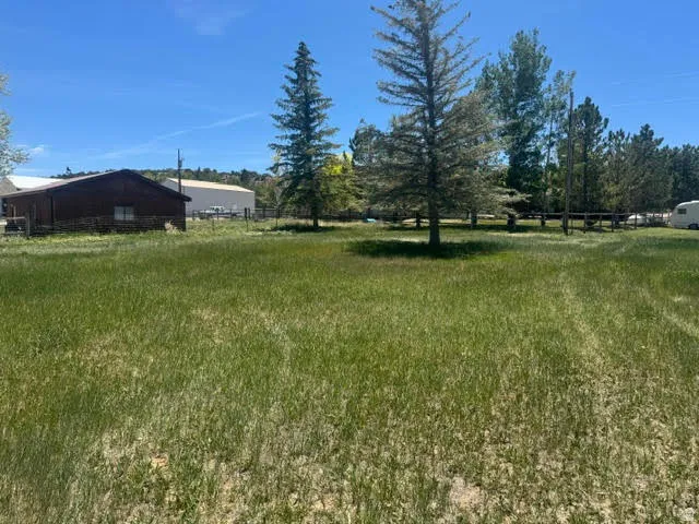Expansive grassy terrain featuring scattered mature trees and a rustic-style outbuilding with horizontal siding and a gable roof