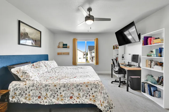 Carpeted room featuring a ceiling fan with integrated lighting, a window with curtains, and two wall-mounted wooden shelves