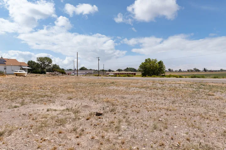 Expansive undeveloped lot with scattered vegetation