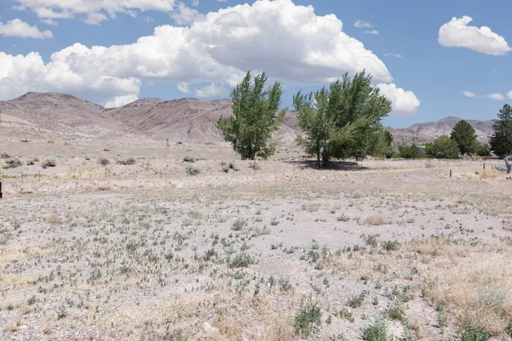 Expansive land parcel featuring sparse vegetation, distant mountainous terrain, and mature deciduous trees