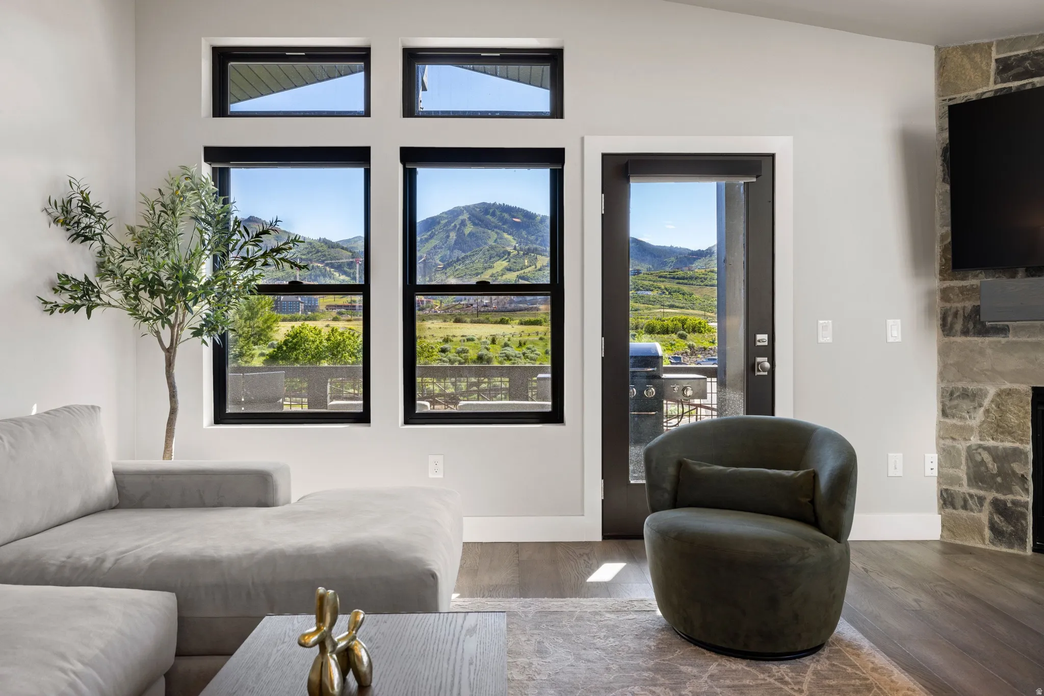 Living area featuring dark frame windows, a glass-paneled exterior door, mountain scenery, stone fireplace surround, and wood-finish flooring