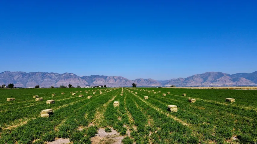 Expansive green field with visible crop rows and scattered hay bales, set against a backdrop of distant mountains under a clear blue sky