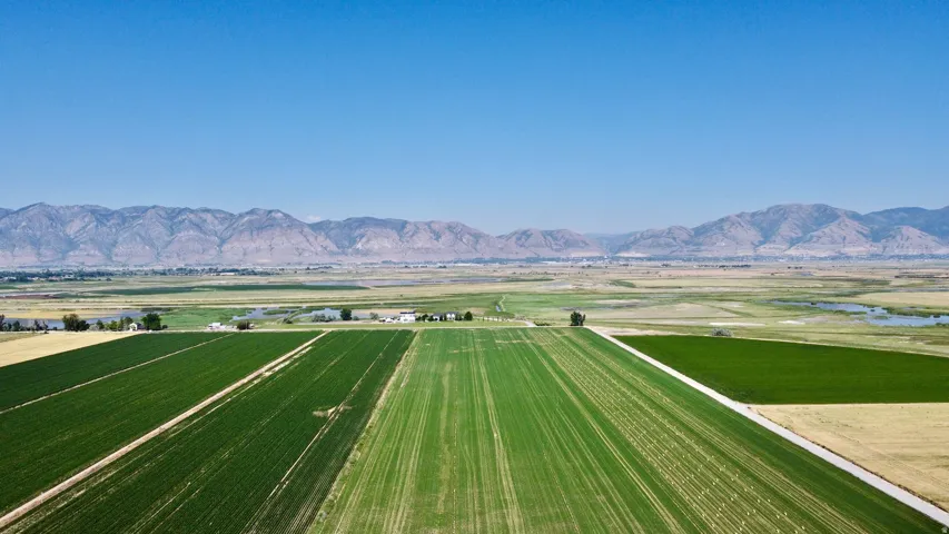 Expansive agricultural land featuring multiple cultivated fields and mountain backdrop