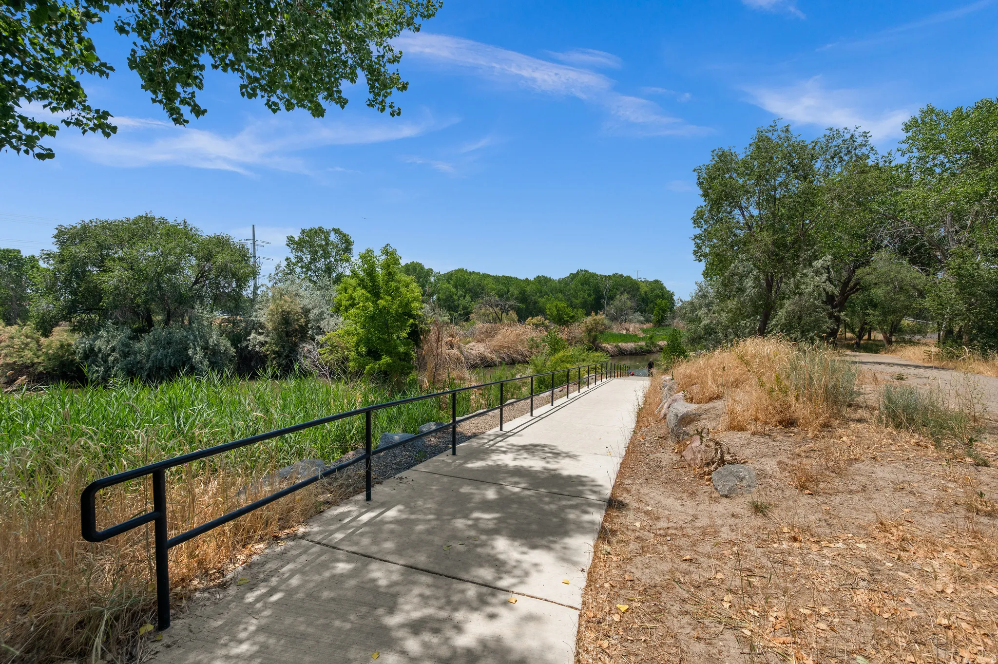 Paved pathway with black metal railings leading to a body of water, bordered by lush green foliage and mature trees