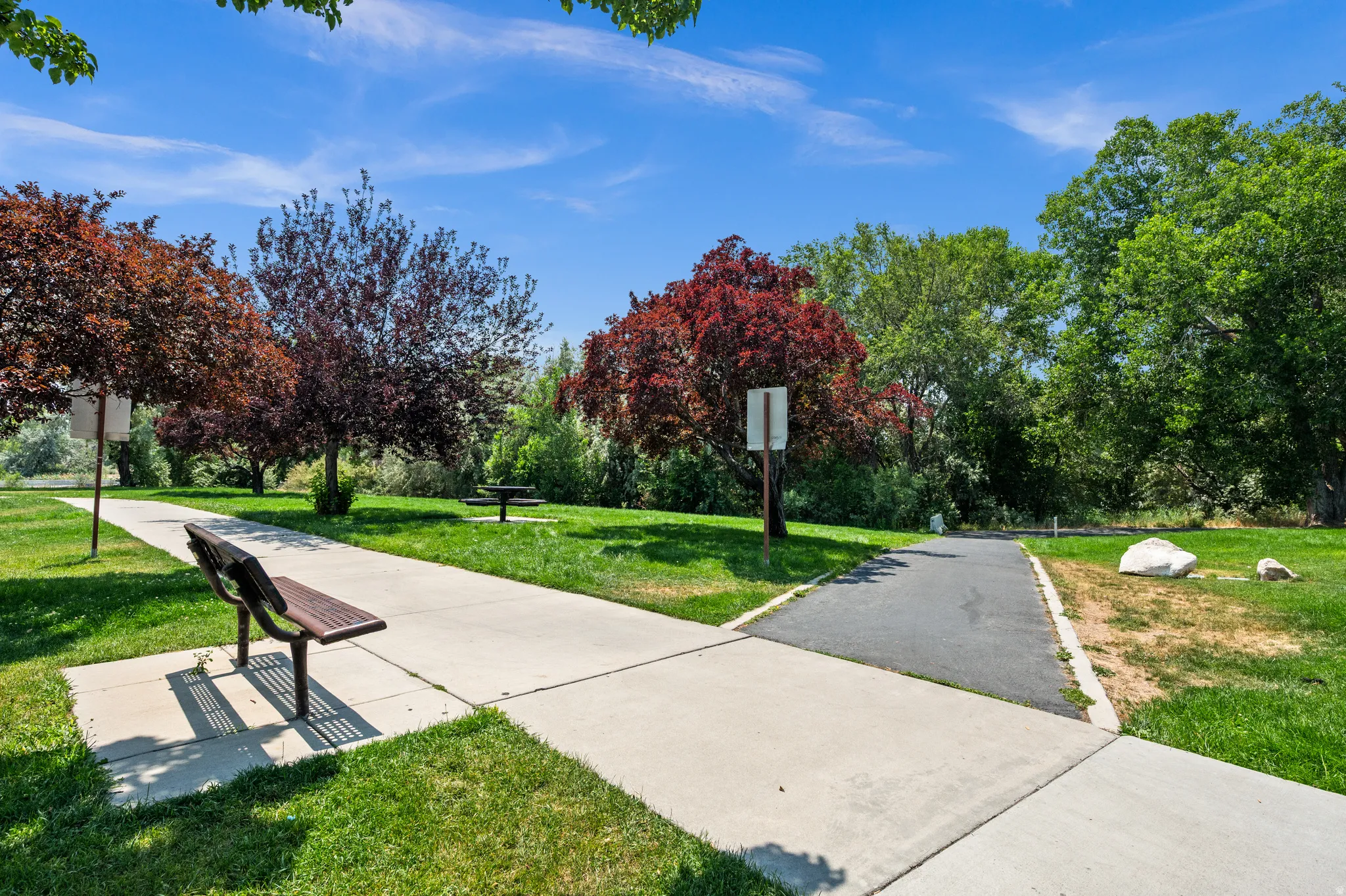 Paved walking paths traversing lush green spaces with mature trees.  Perfect place for dogs