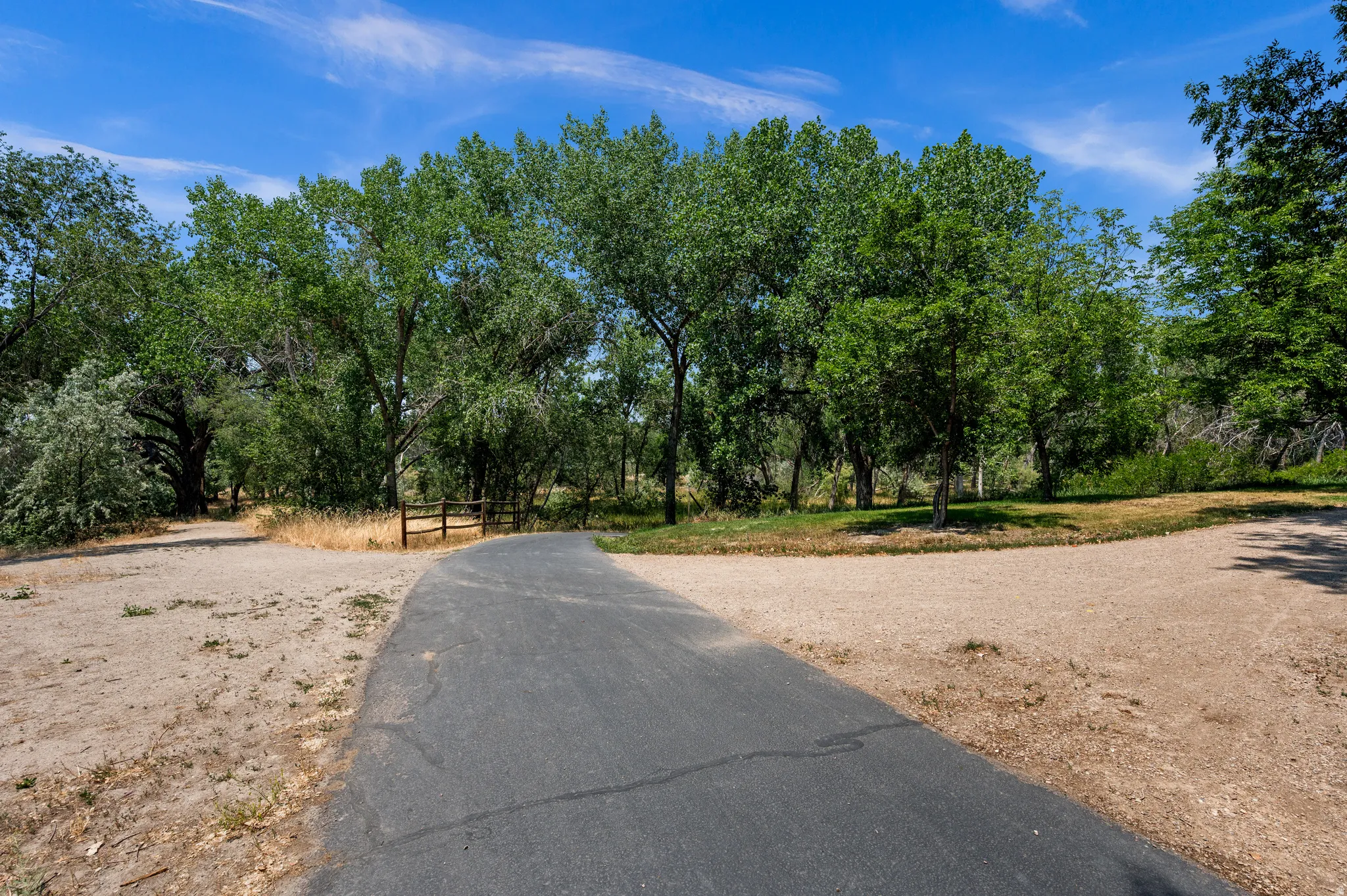 Paved hiking trail surrounded by mature trees and natural landscaping