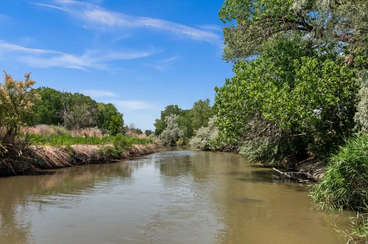 Natural waterway bordered by lush green foliage and mature trees