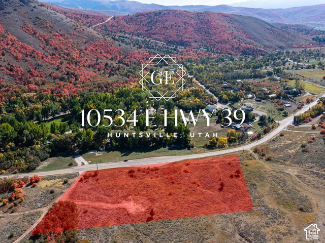Expansive land parcel with direct road frontage, surrounded by rolling hills and mature trees