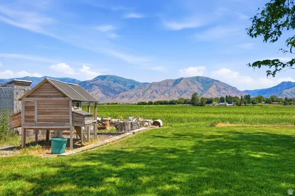 Expansive green lawn with a wooden outbuilding and rock-lined perimeter