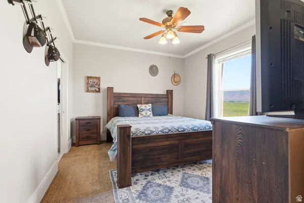 Bedroom featuring a window with a green field scenery, a ceiling fan with integrated lighting, and crown molding