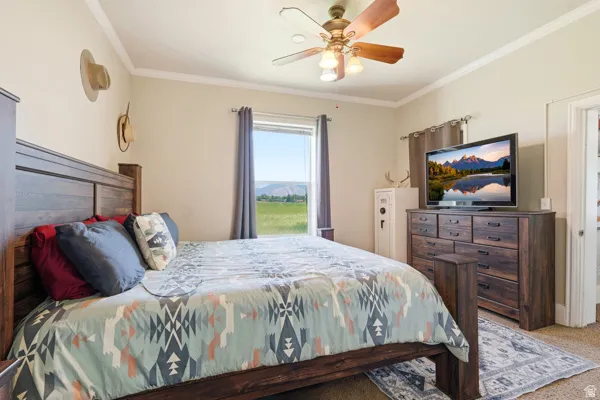 Bedroom featuring a wood-finish bed frame, ceiling fan with light fixture, window with landscape, and wall-mounted television above a wood-finish dresser
