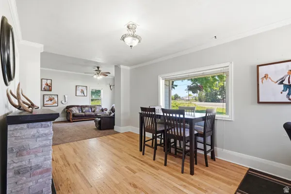 Hardwood flooring complementing a window with outdoor landscaping