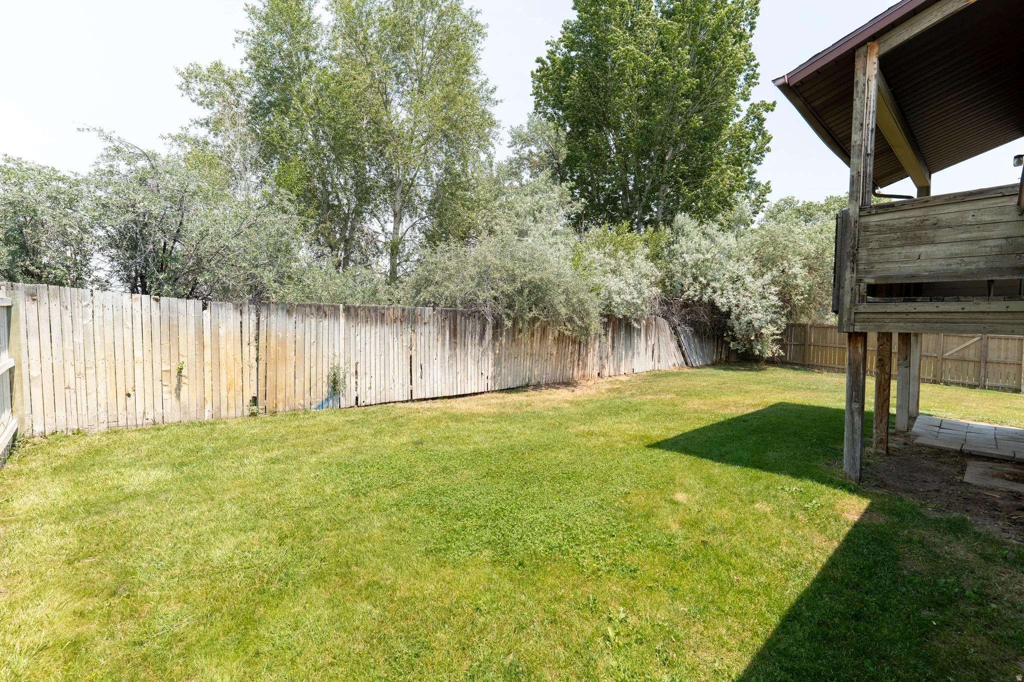 Expansive grassy backyard featuring a perimeter fence and mature trees