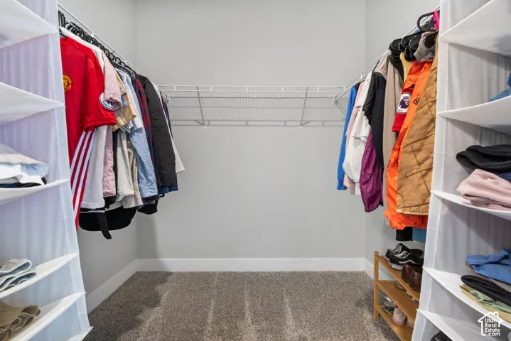 Walk-in closet featuring light gray walls, plush gray carpeting, and white wire shelving
