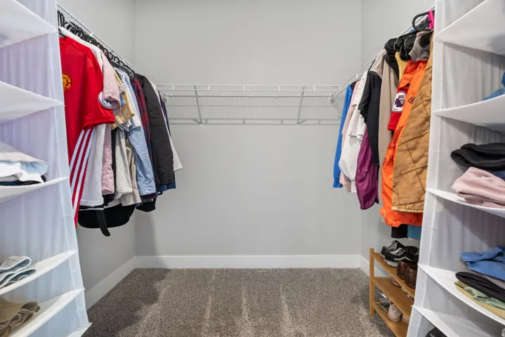 Walk-in closet featuring light gray walls, plush gray carpeting, and white wire shelving