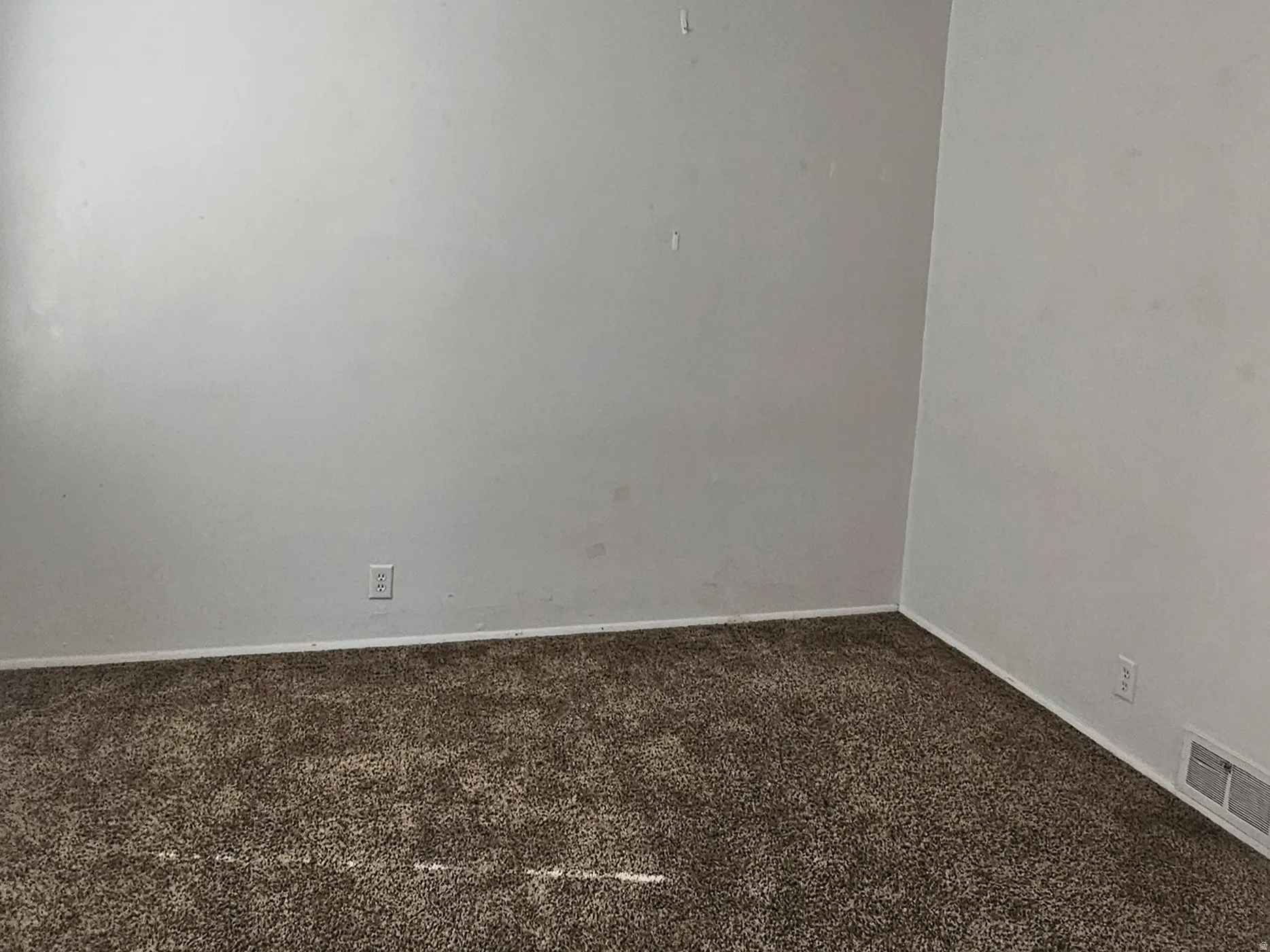 Spacious room featuring textured brown carpeting and a white ceiling fan with integrated lighting