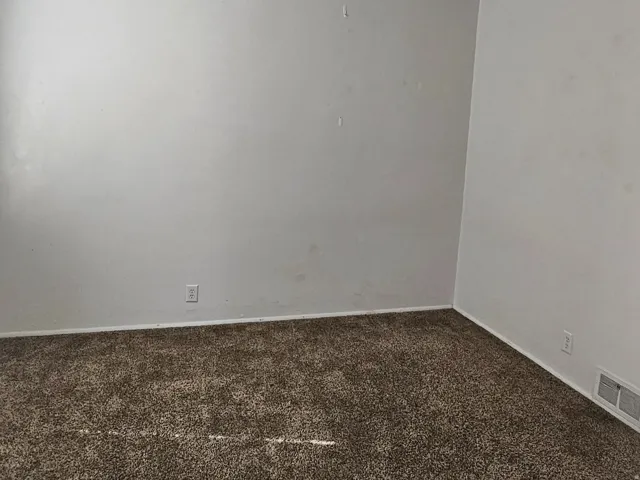 Spacious room featuring textured brown carpeting and a white ceiling fan with integrated lighting