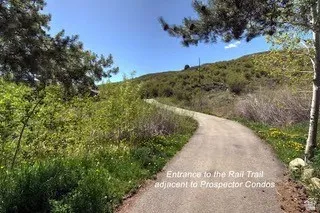 Paved pathway with surrounding natural landscaping