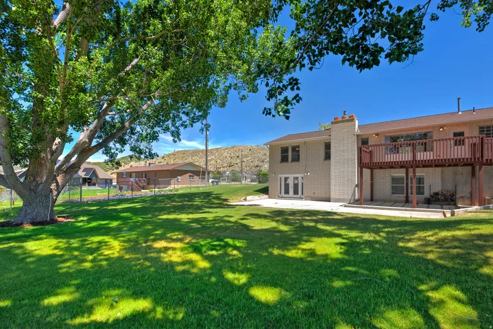 Expansive green lawn with mature tree providing natural shade