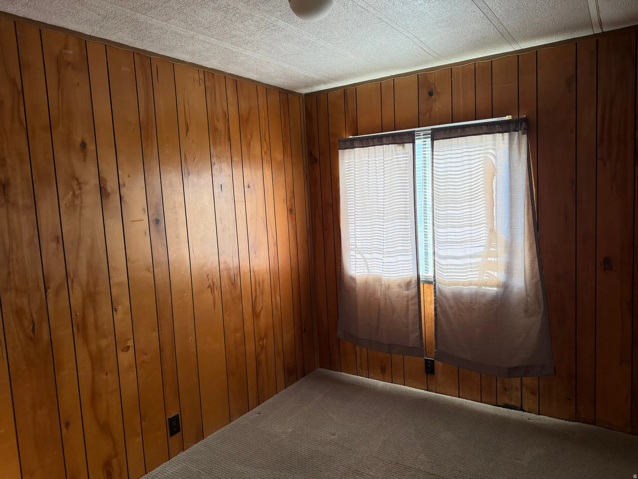 Paneled walls and carpeted flooring define this room, featuring a window with blinds and drapes for light control