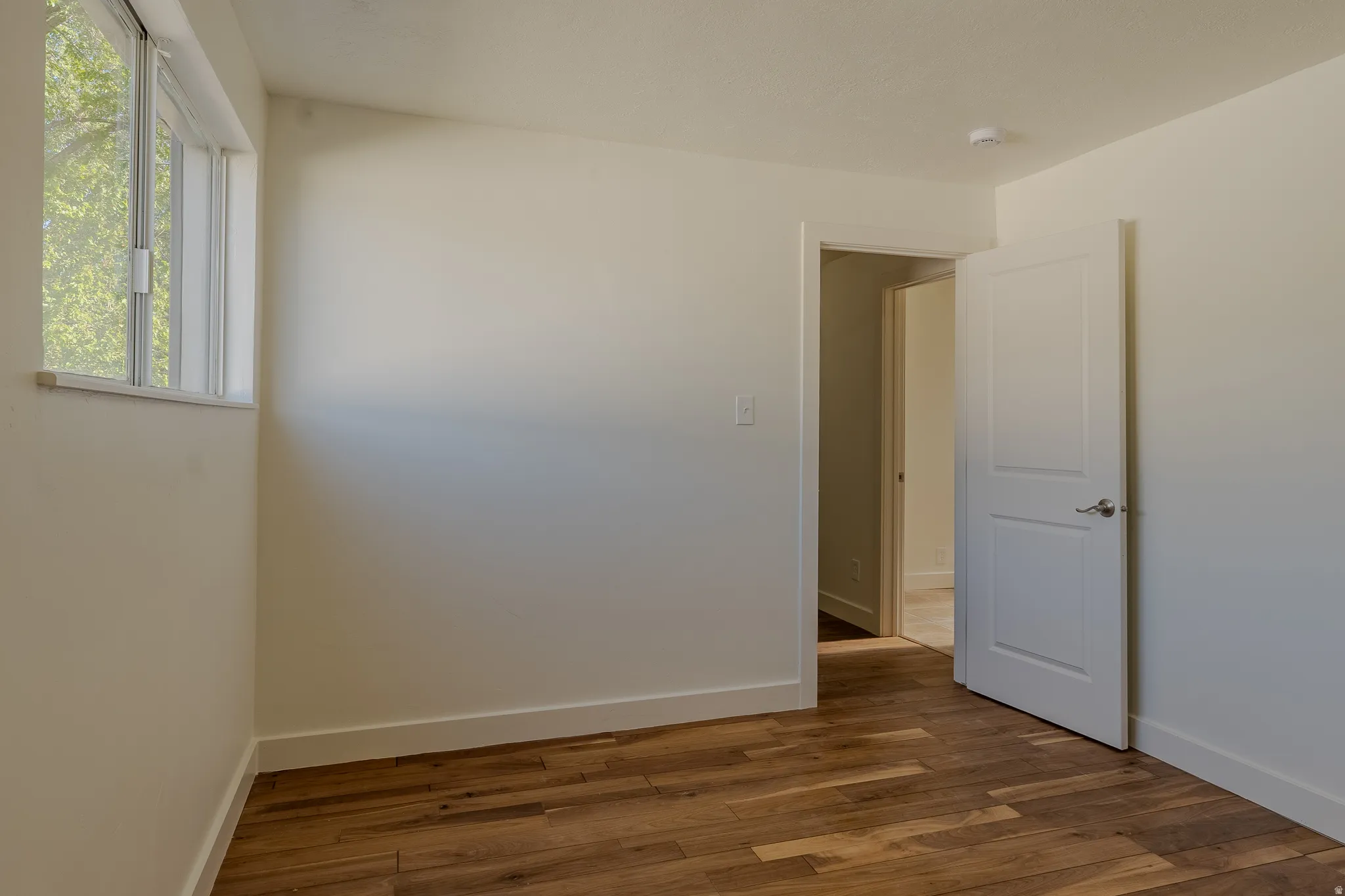 Bright interior space featuring wood-finish flooring, white baseboards, and a paneled interior door