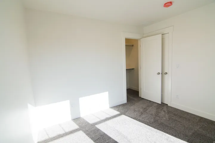 Neutral-toned room featuring a walk-in closet with shelving and hanging rod, light gray carpeting, crisp white walls, and bright white trim