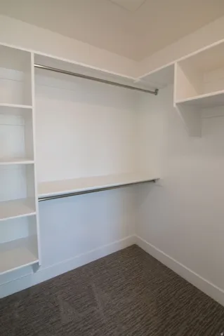 Walk-in closet featuring built-in shelving, hanging rods, and patterned carpeting
