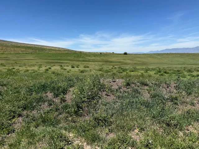 Rolling hillside property with expansive grassy terrain and distant mountains