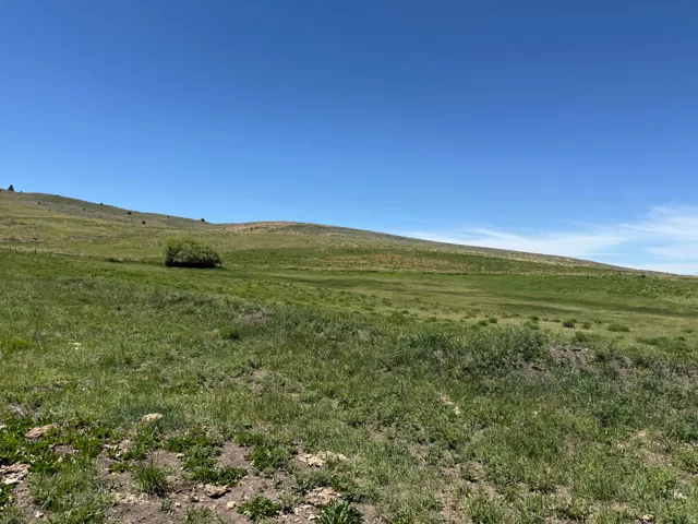 Expansive open land with varied green and brown foliage, featuring rolling hills and a solitary central tree