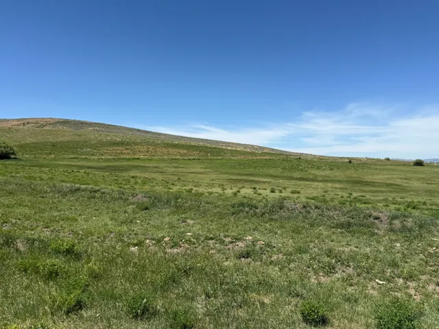 Expansive open land featuring rolling green hills under a broad blue sky