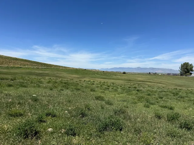 Expansive open field with green ground cover and a distant mountain range