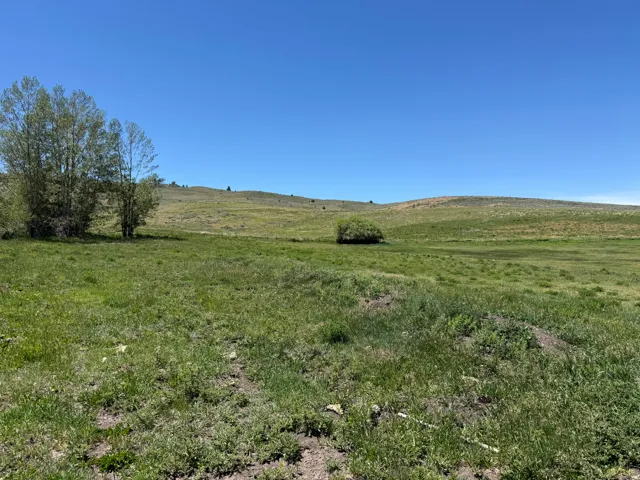 Expansive open land featuring verdant grasses and varied topography