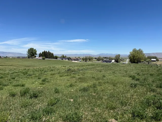 Expansive open field with natural ground cover, bordered by distant residential properties and mature trees